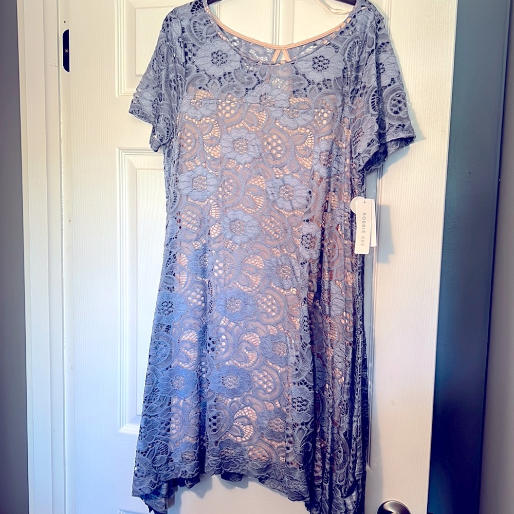 A Robbie Bee Blue and Pink Lace Dress